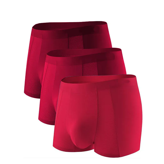 2025 Men's Modal Trunks Underwear Sexy Mesh Boxer